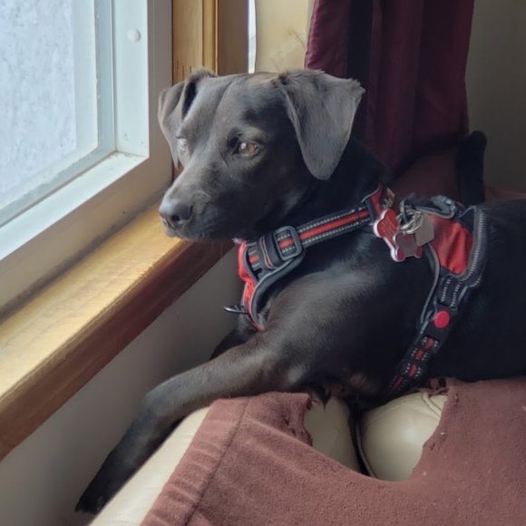 Meet your Posher, Jane Sokol Shulman - Picture 6 of 10